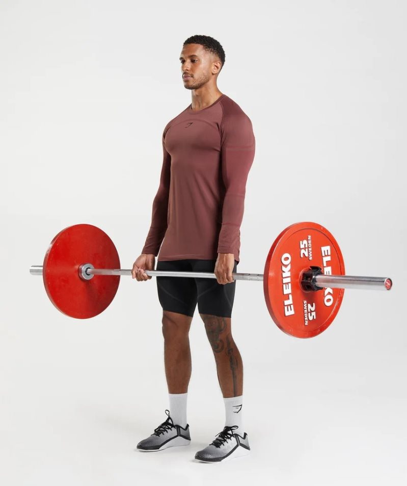 Men's Gymshark 315 Long Sleeve T-Shirts Brown | CA A785DN